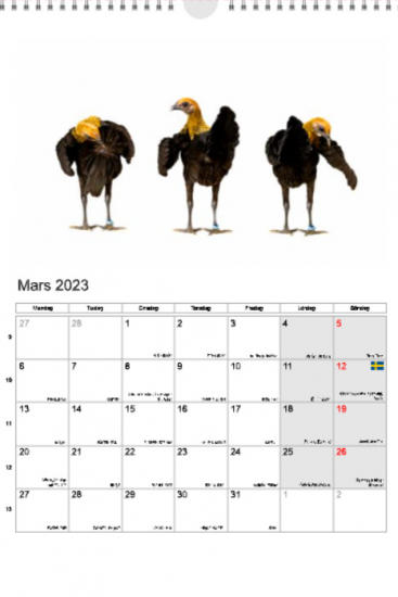 Hönskalendern 2023